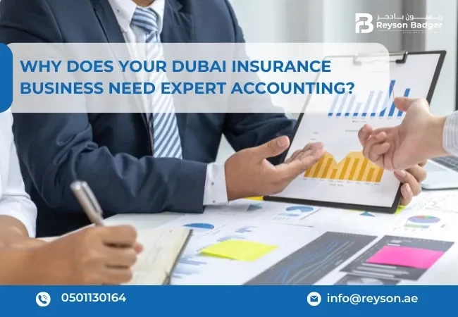 Why Does Your Dubai Insurance Business Need Expert Accounting?